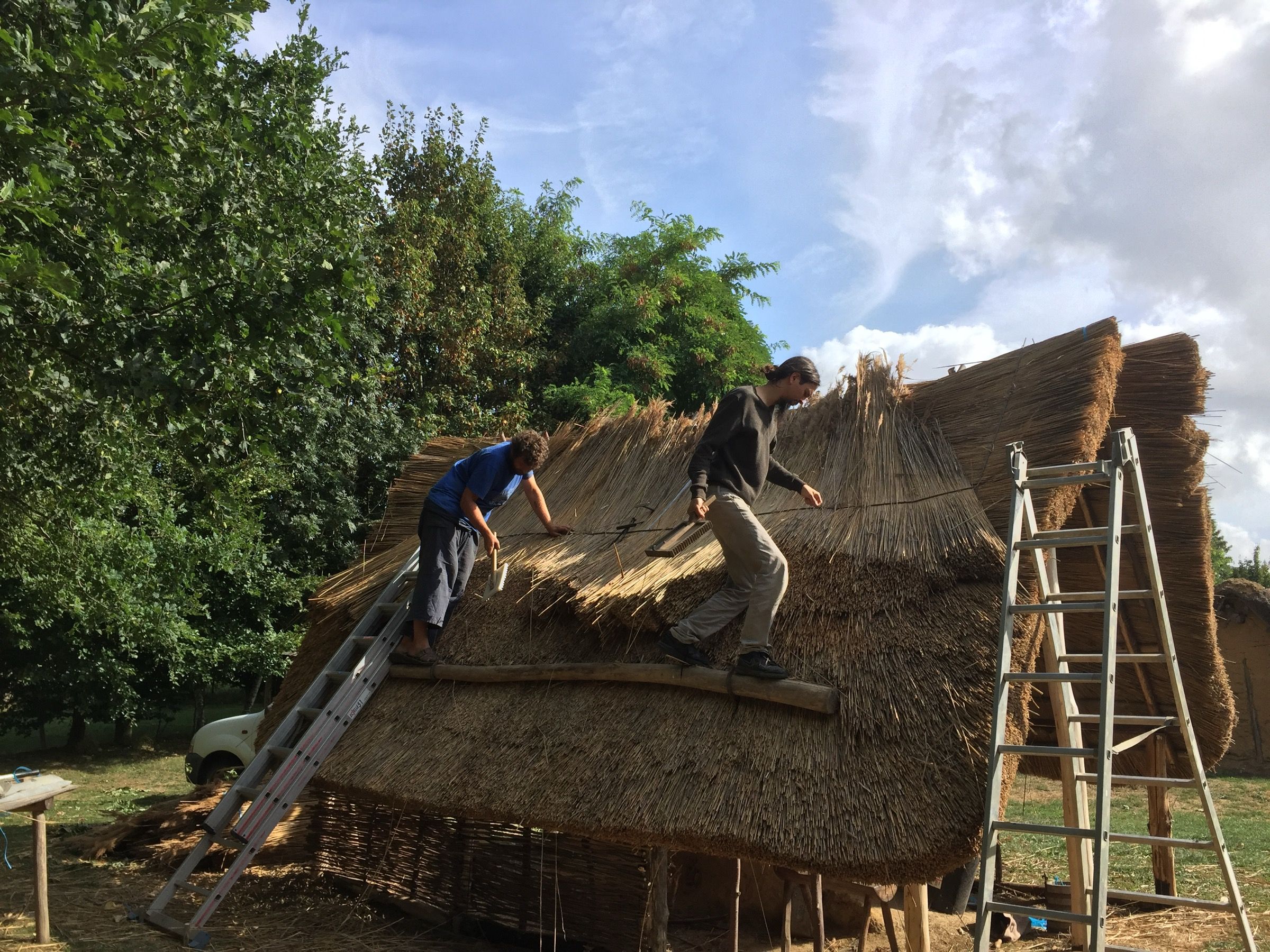 Bénévoles réalisant la couverture en chaume d'une maison mérovingienne reconstituée