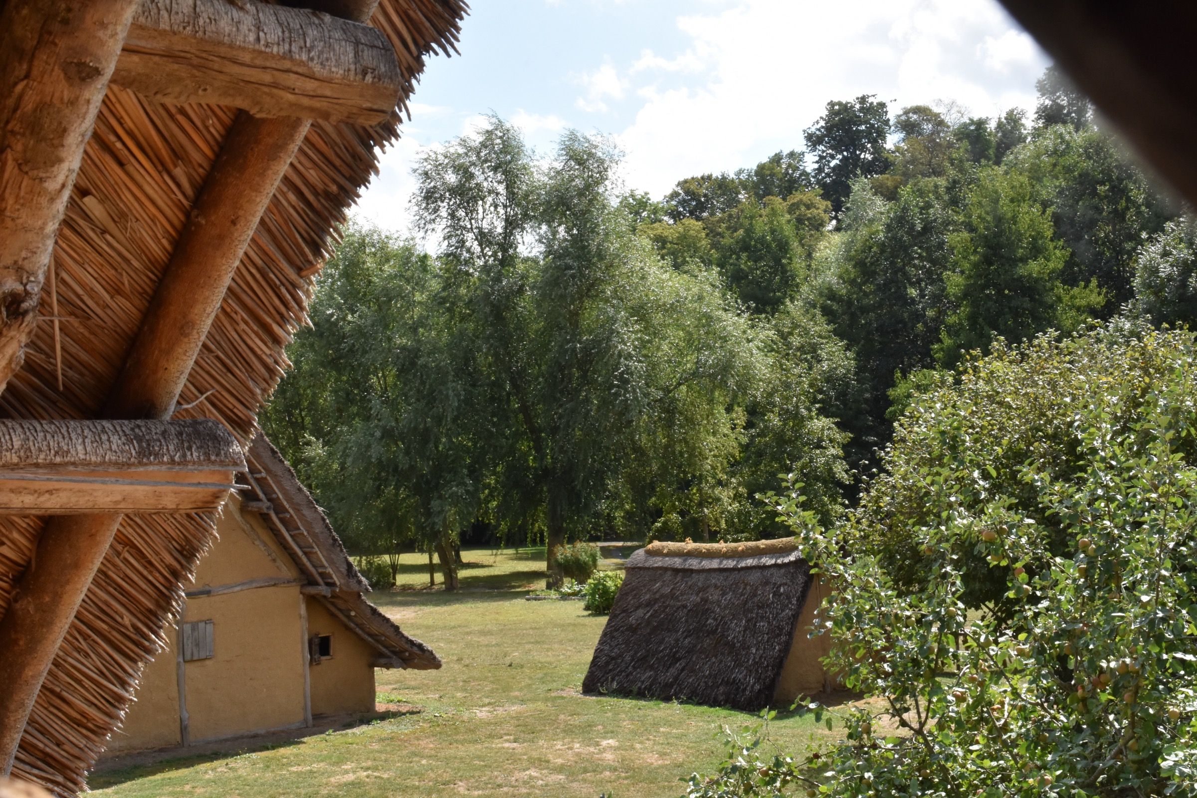 Le parc archéologique de Marle vu depuis une maison reconstituée